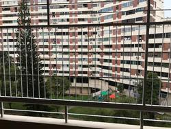 Pandan Valley (D21), Condominium #171480232